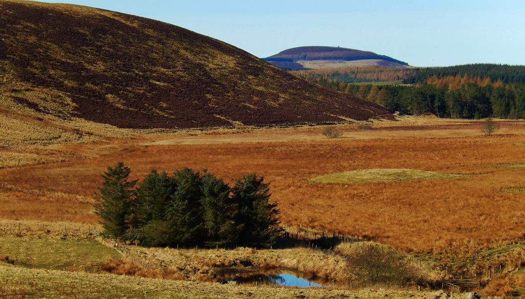 Scotland Paradise Relax Accommodation By Shooting Club Kirriemuir Balintore  Esterno foto